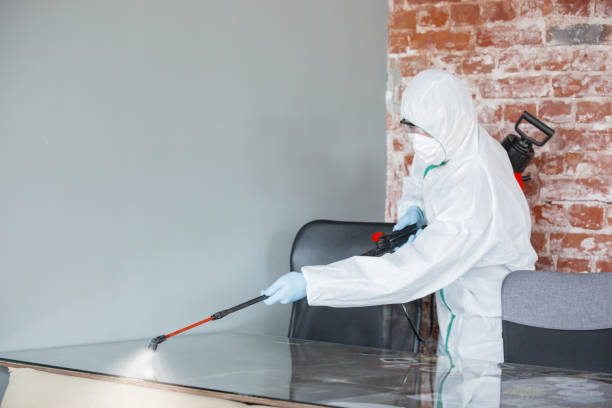 Best Mold Removal for HVAC Installations  in USA